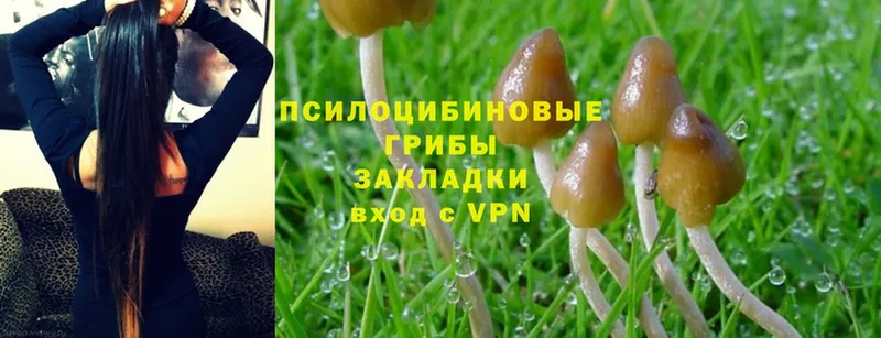 наркота  Гагарин  Галлюциногенные грибы MAGIC MUSHROOMS 